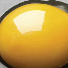 what-foods-should-i-avoid-during-pregnancy