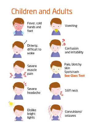 Meningitis symptoms in adults 