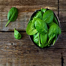 Folic acid in green leafy foods 