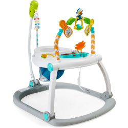 Fisher Price jumperoo 250