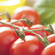 nutrition-and-supplements-for-new-mums