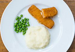 12 month food plate 1 250