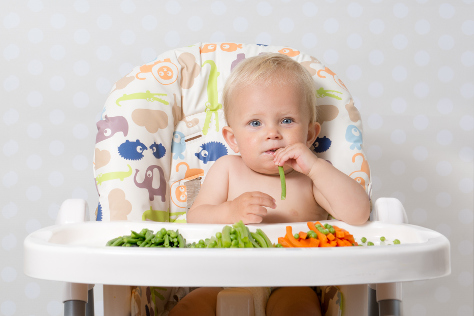 veggies in baby food 474