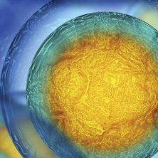 testing-and-screening-for-chromosome-abnormalities