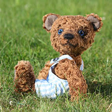 baby-names-teddy-2013