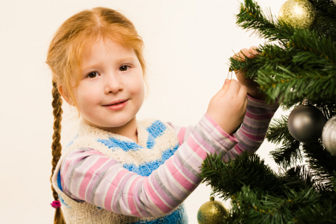 Christmas festive holidays 474