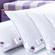 Hotel Quality Extra-Filled Duck Feather Pillows - 2 or 4