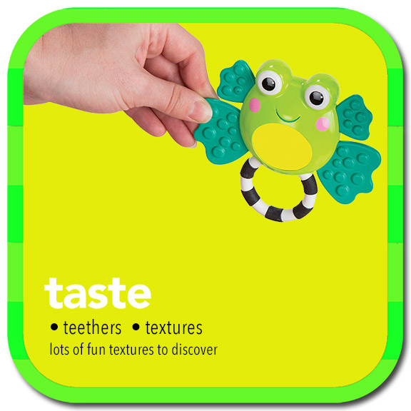 taste • teethers • textures • lots of fun textures to discover