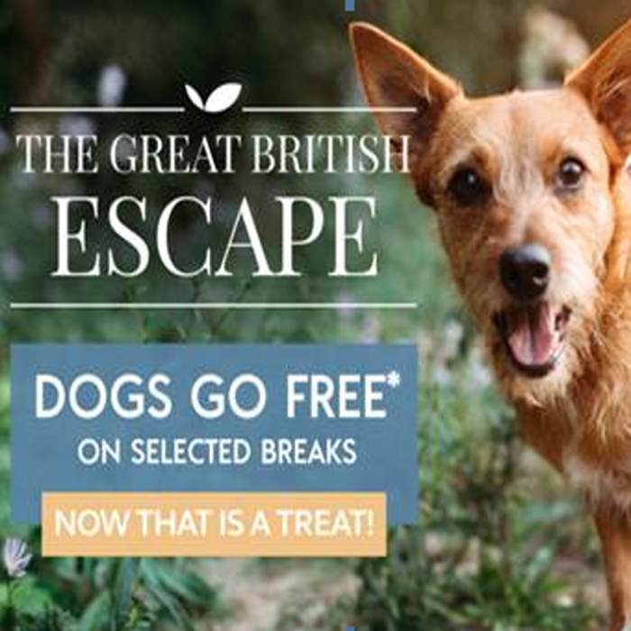 pets go free
