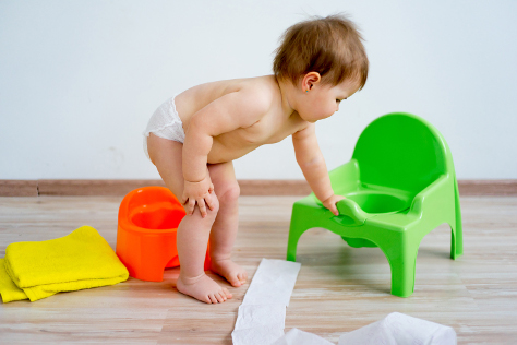 Learning to use the loo