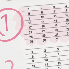 what-happens-in-the-first-trimester