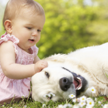 babies-and-pets-sq