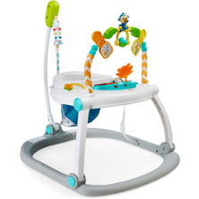 Fisher Price jumperoo 222