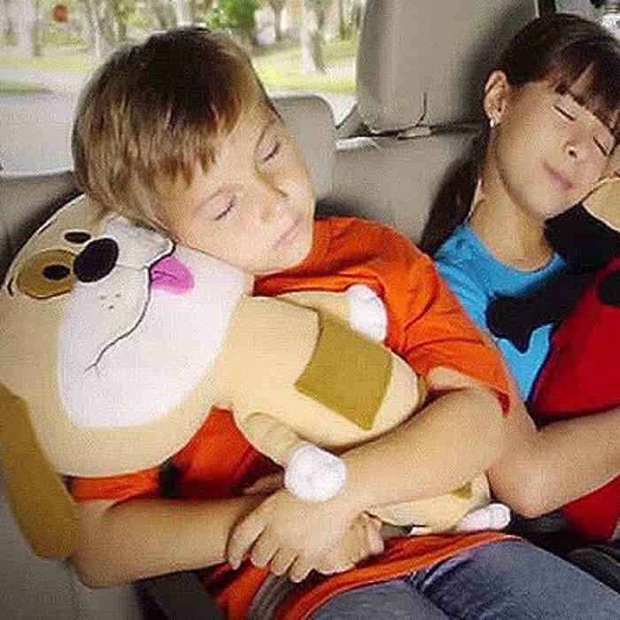 Go Groopie- snuggle car toy