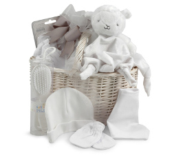 Newborn gift basket 250