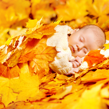 Baby in autumn leaves