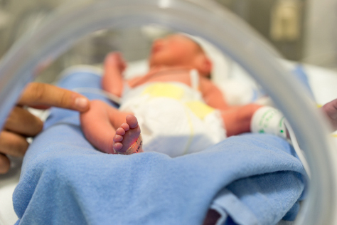 Special care and premature babies 474