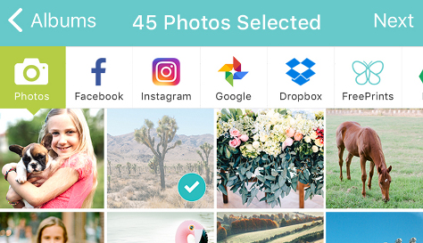 FreePrints 474
