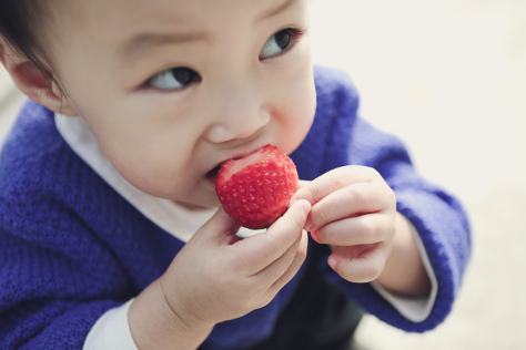 Common concerns for baby led weaning 474