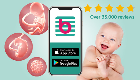 Download our top rated pregnancy and baby app