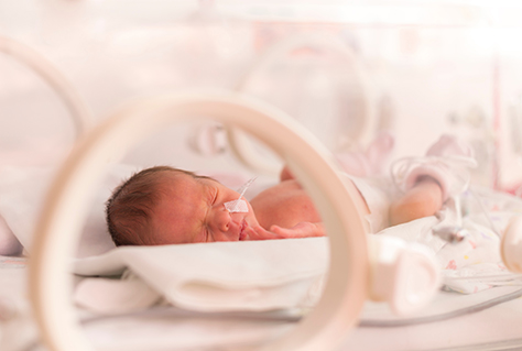 premature baby in neonatal 474