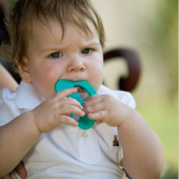 Butterfly Teether Green